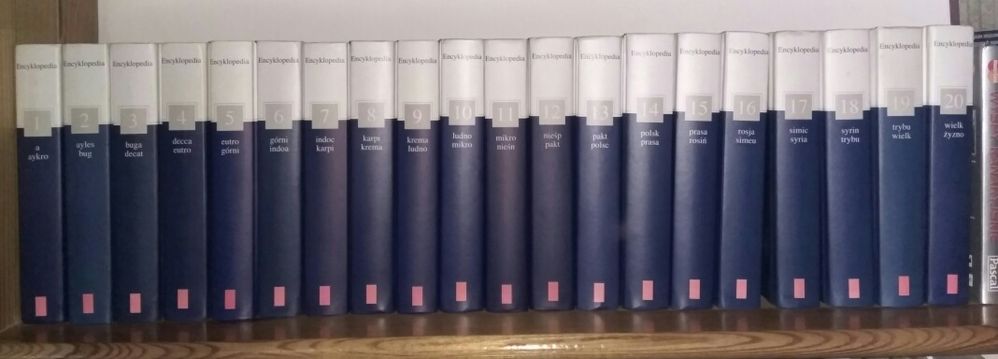 Encyklopedia PWN gazeta wyborcza