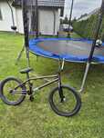 Rower BMX DK cygnus