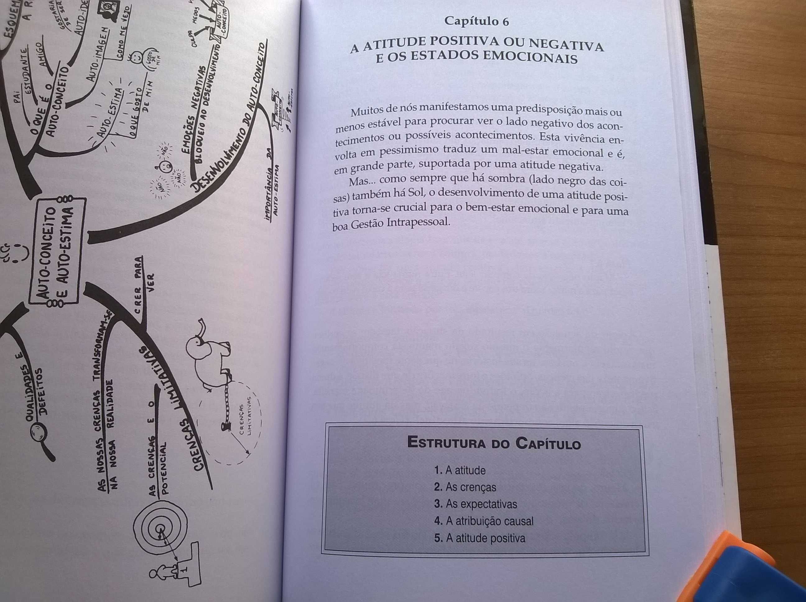 Cerebrus A Gestão Intrapessoal - Paulo Balreira Guerra