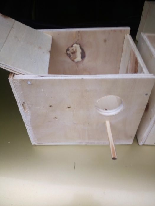 Budka   lęgowa papuga