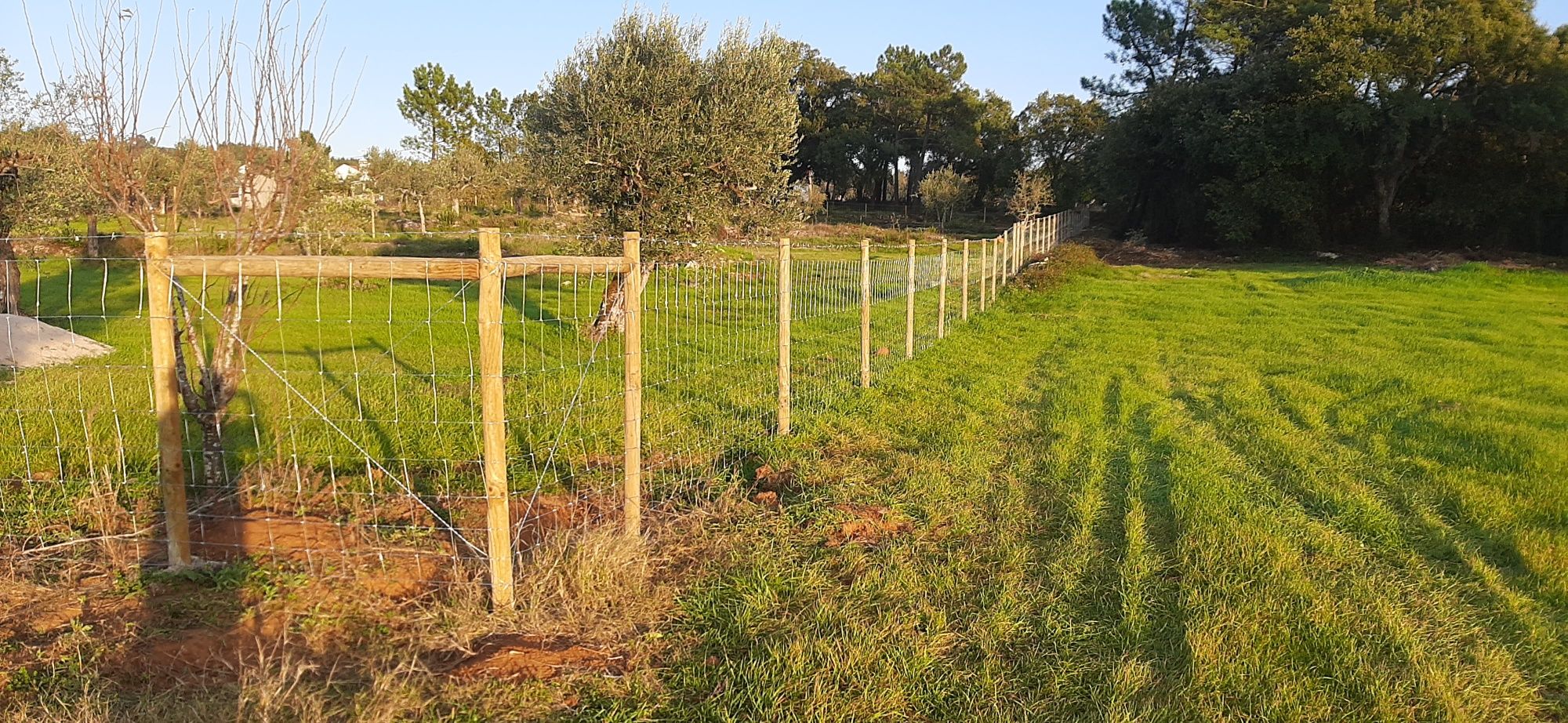 Limpeza de terrenos - Remodelações - Serralharia civil - Outros Servic