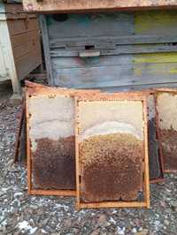 Рамки медові, для бджіл