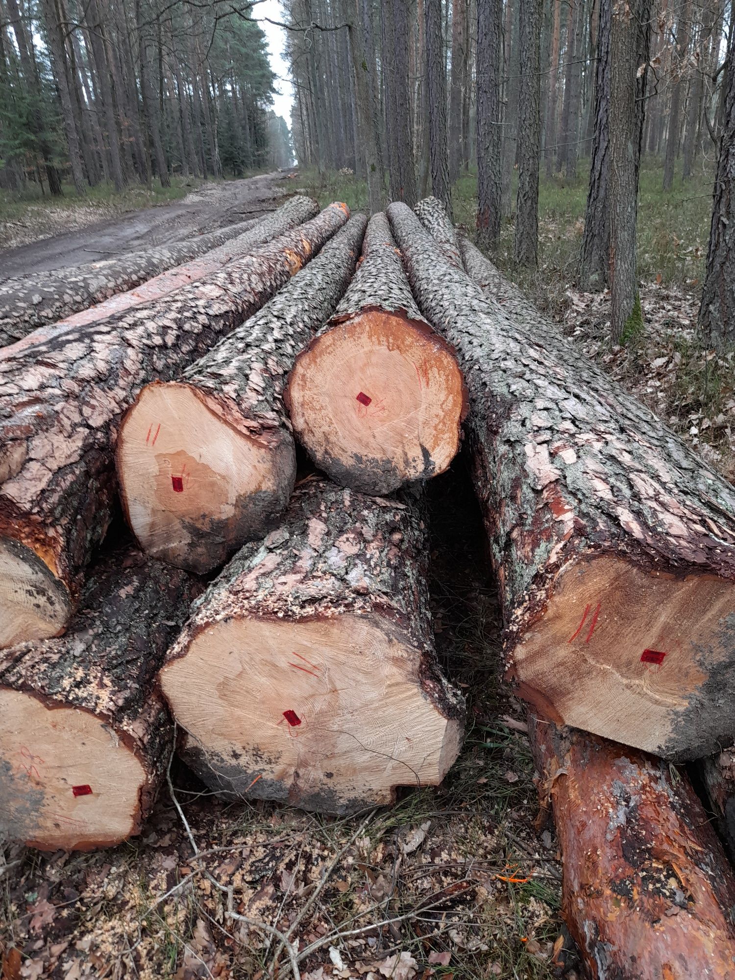 TARTAK. Więźba dachowa,Deski,Łaty