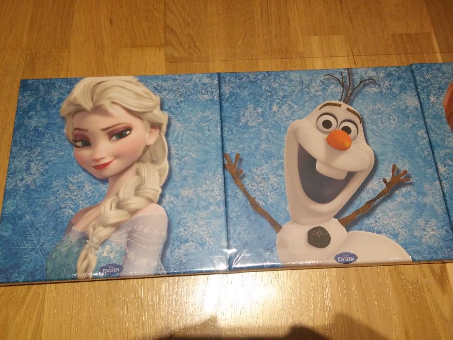 Obrazki na płótnie - Frozen