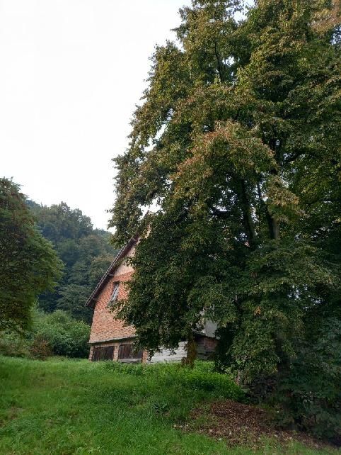 Kraków. Wola Justowska. Działka z domem w stanie surowym.