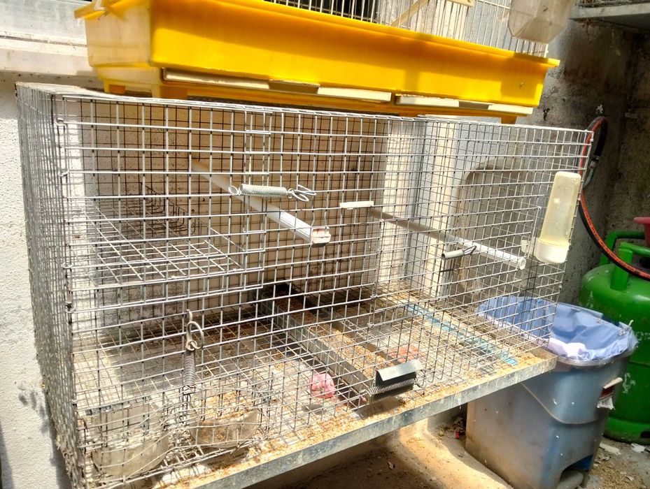 Gaiolas para criação de aves