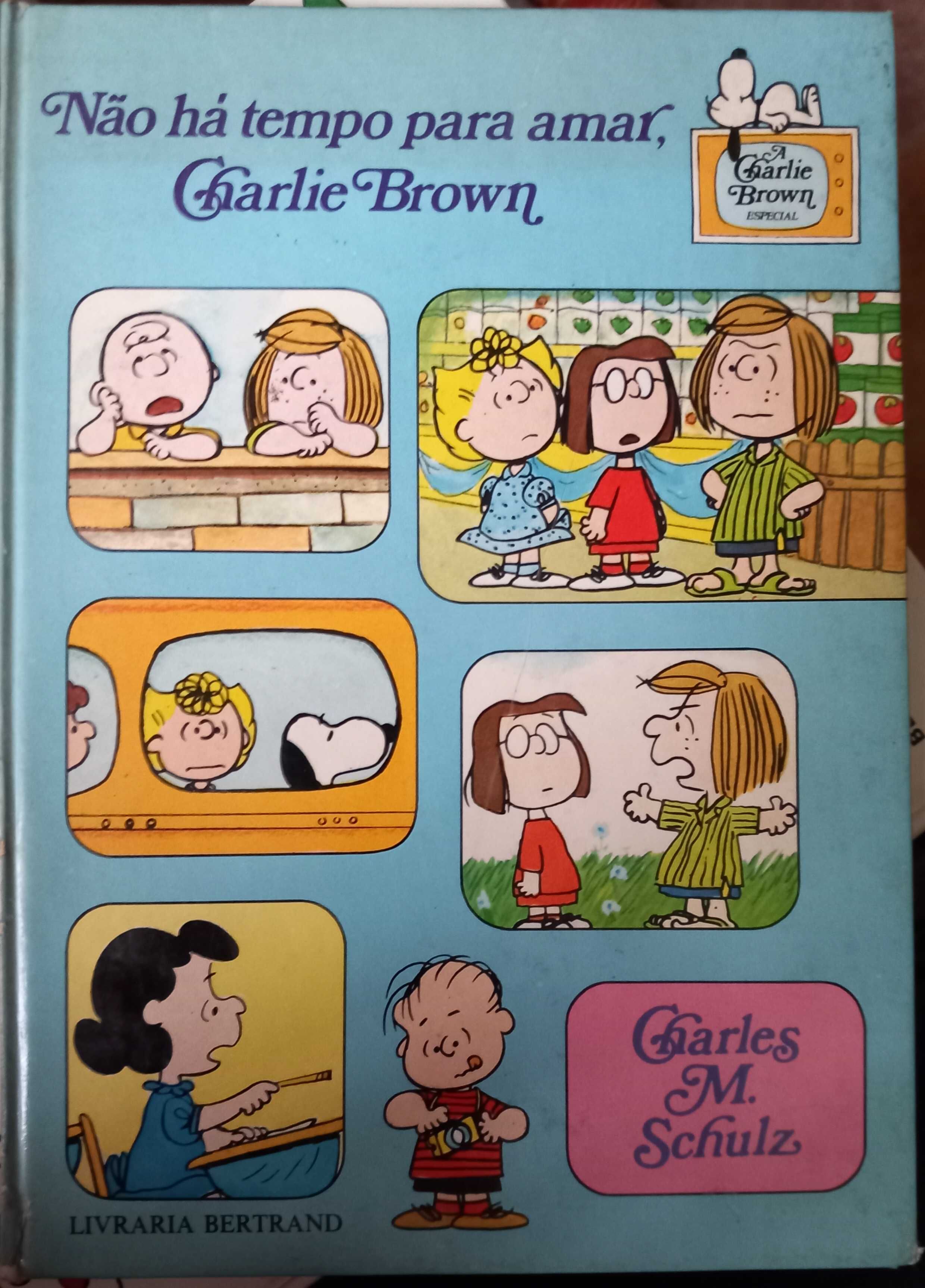 Não há Tempo para Amar, Charlie Brown - Snoopy - portes incluídos