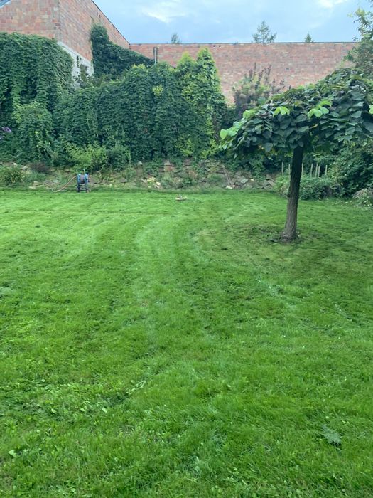 Ziemia ogrodowa czarnoziem