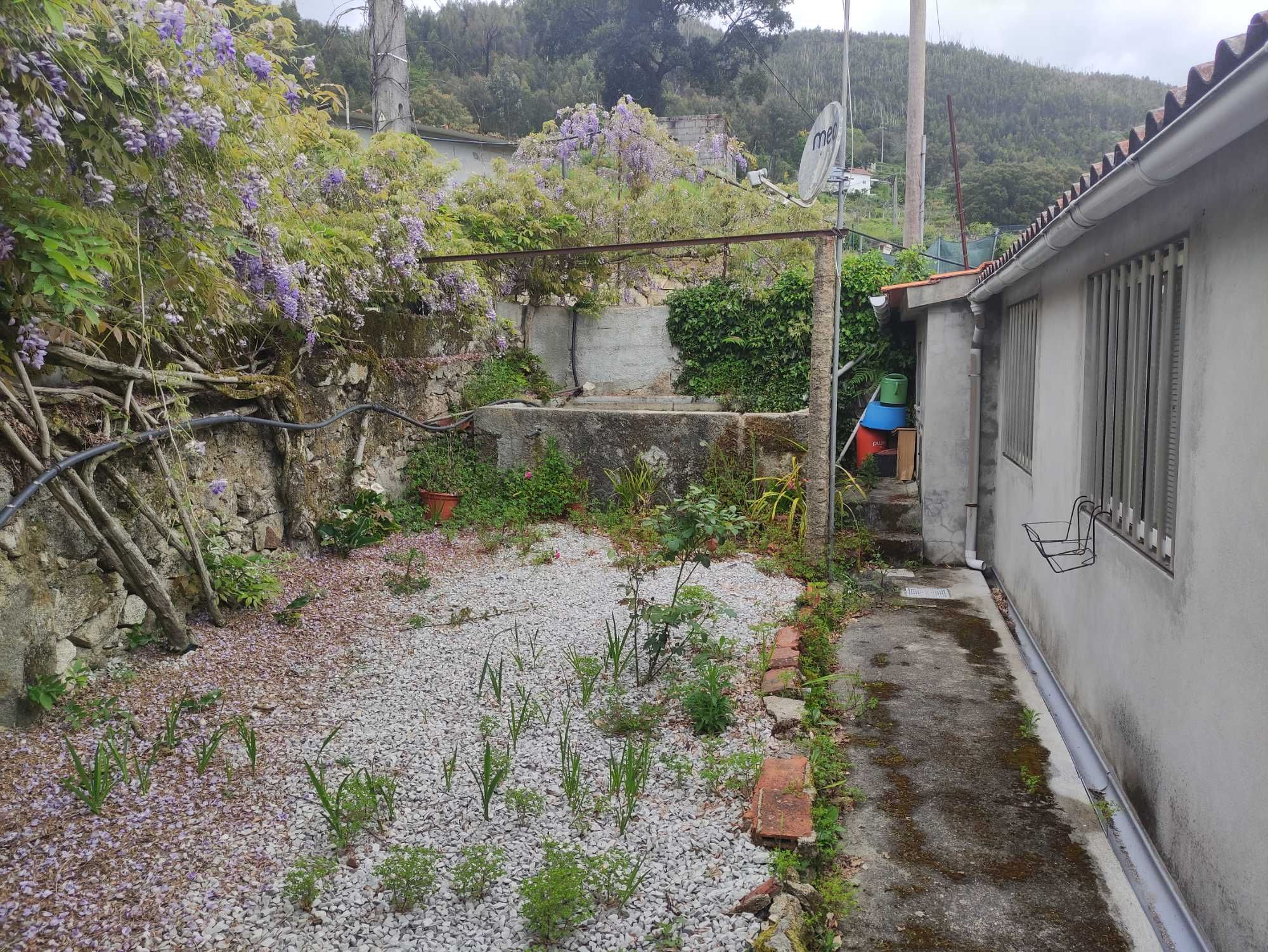 Quinta com casa, terrenos e pinhais