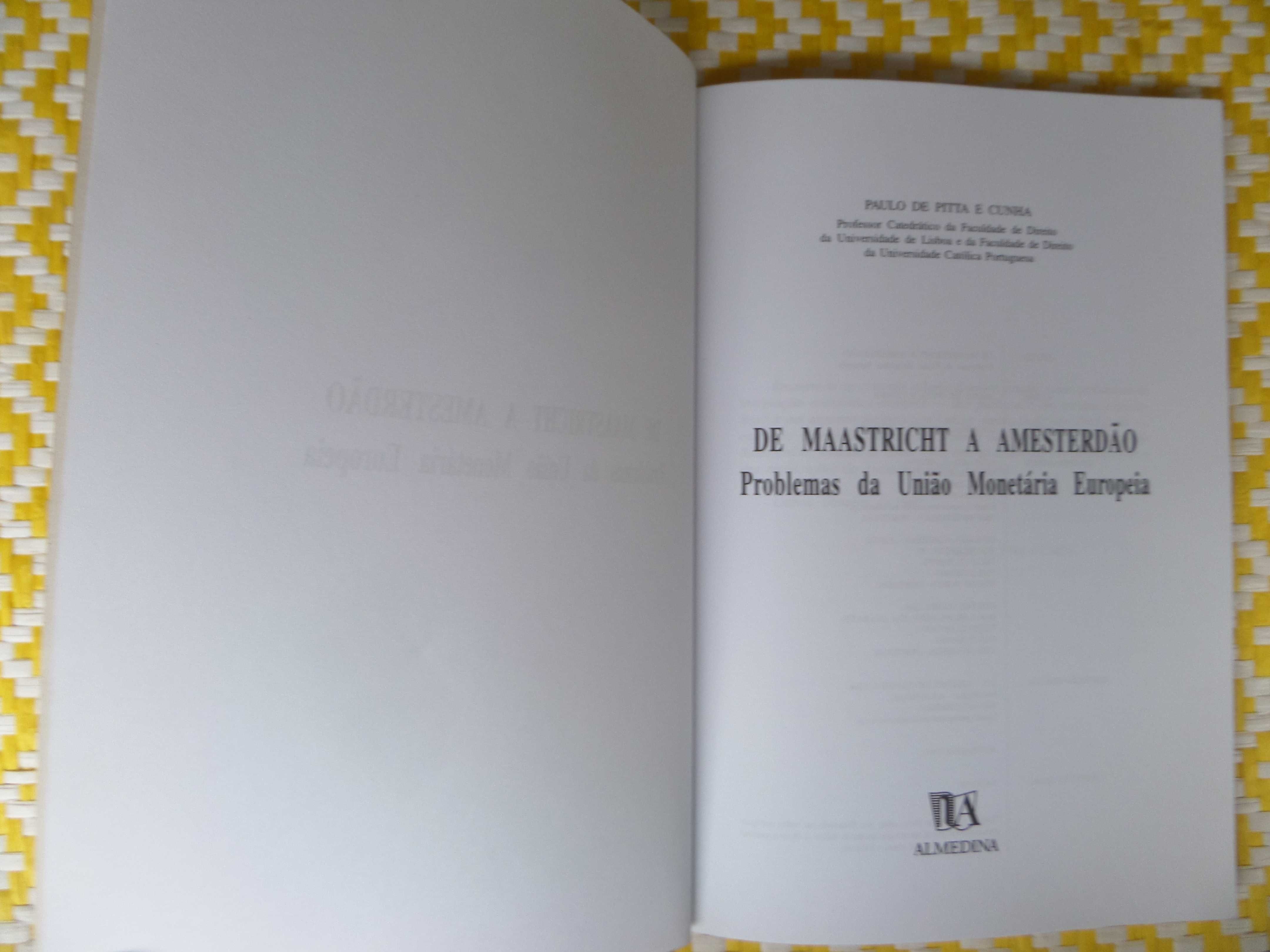 De Maastricht a Amesterdão - Problemas da União Monetária Europeia