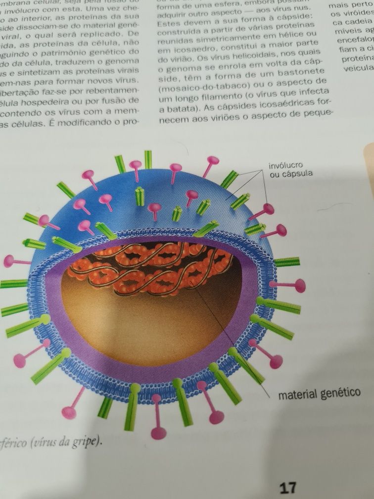 Enciclopédia de Ciência Larousse (coleção completa)