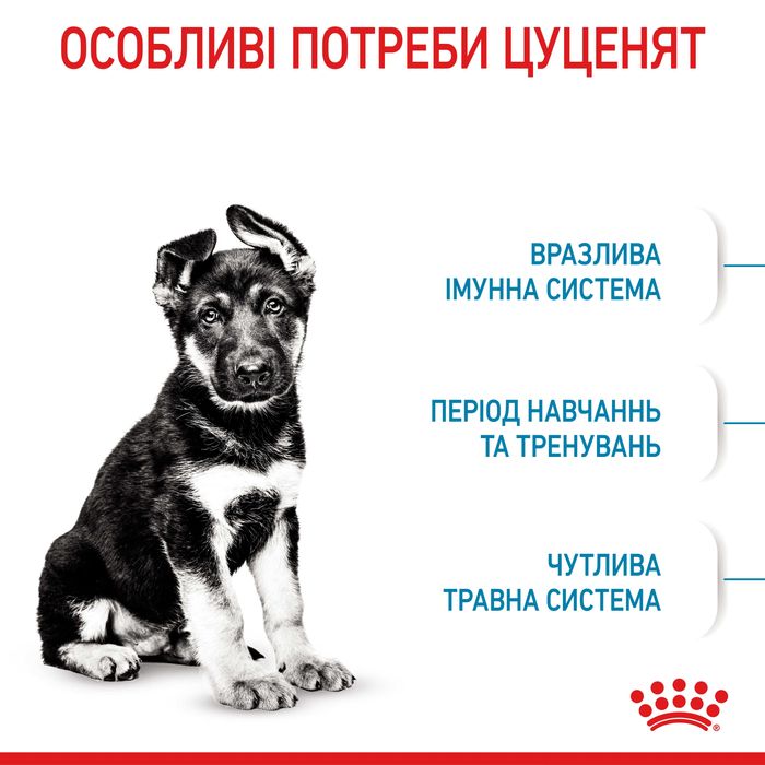 Корм Royal Canin Maxi Puppy 4 кг для цуценят великих порід. Роял Канін