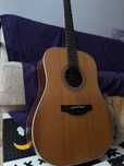 Гітара Takamine GD20