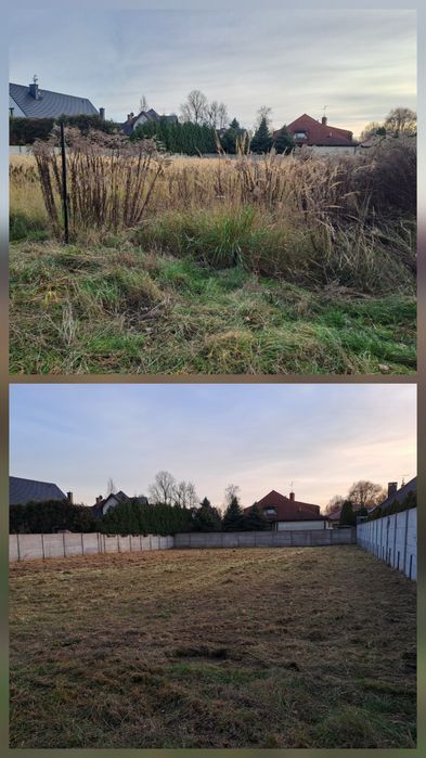 Wycinka drzew oraz karczowanie działek