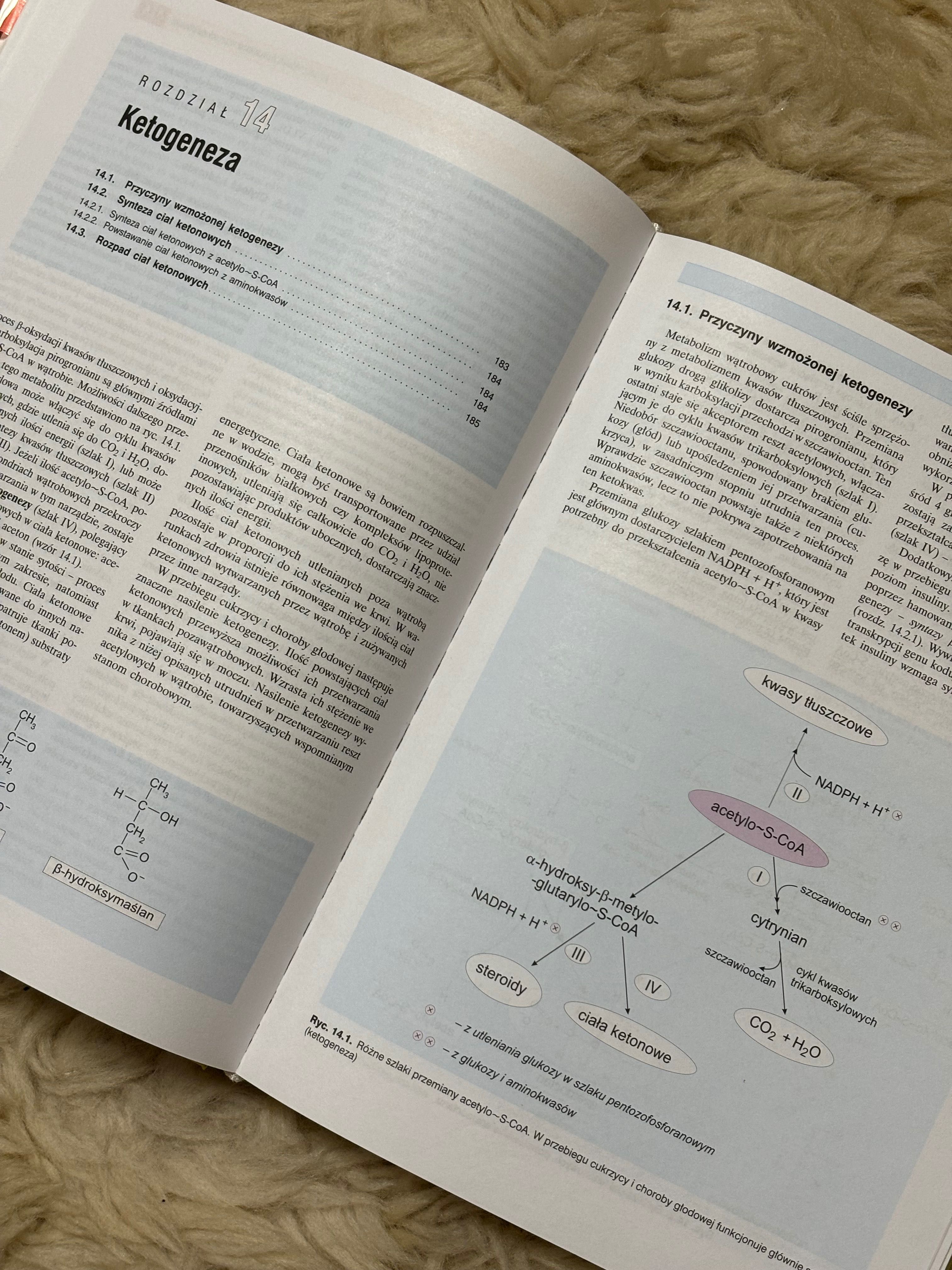 Biochemia Edward Bańkowski podręcznik dla studentów medycyny