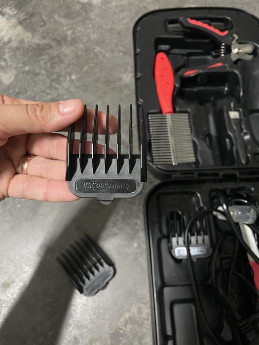 Tosquiadora cão zoofari