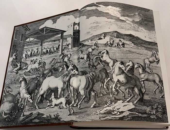 Luz da Liberal e Nobre Arte de Cavalaria