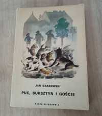 Książka "Puc, Bursztyn i goście"