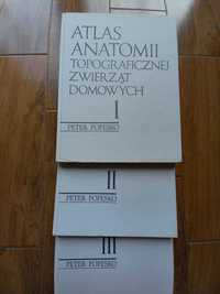 Peter Pepesko Atlas Anatomii Topograficznej Zwierząt Domowych 1989