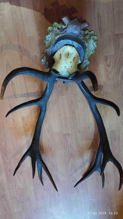 роги оленя декоративні