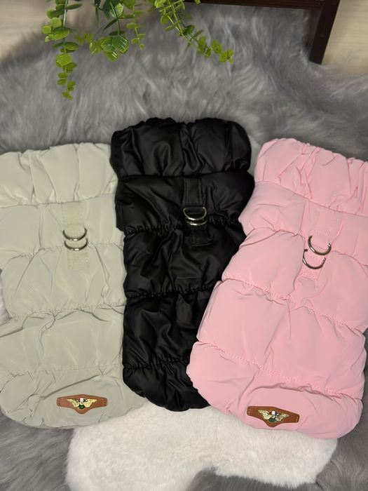 Одяг для собак