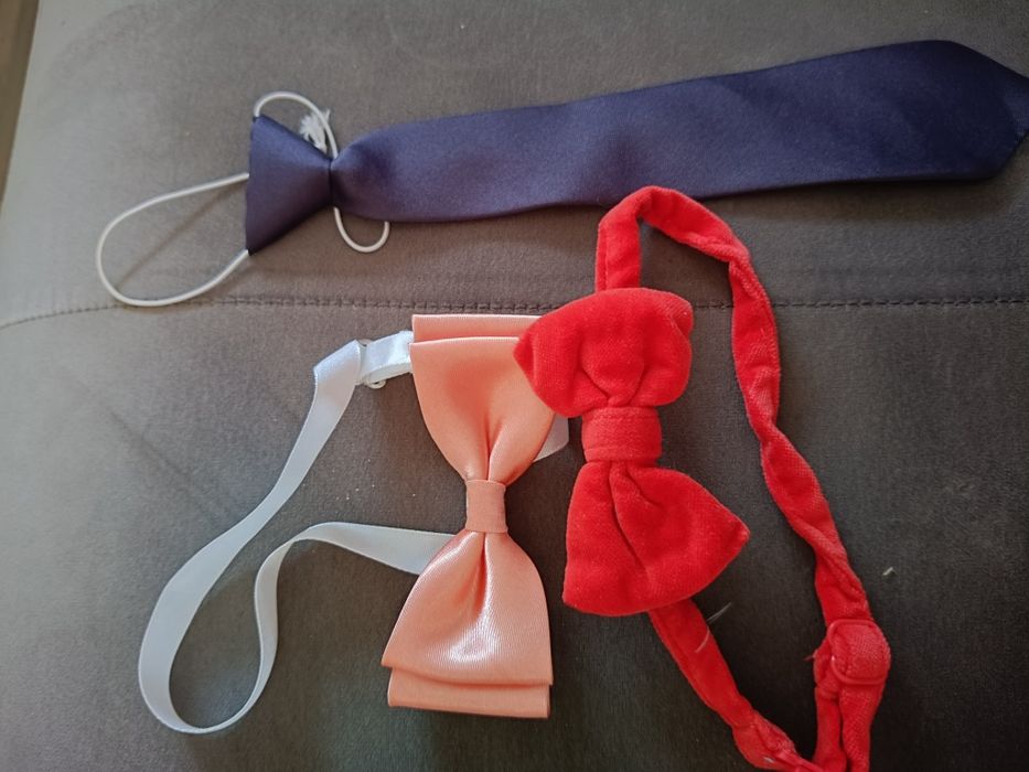 Mucha,muszka,krawat,impreza,eleganckie