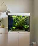 Akwarium Juwel lido 200l