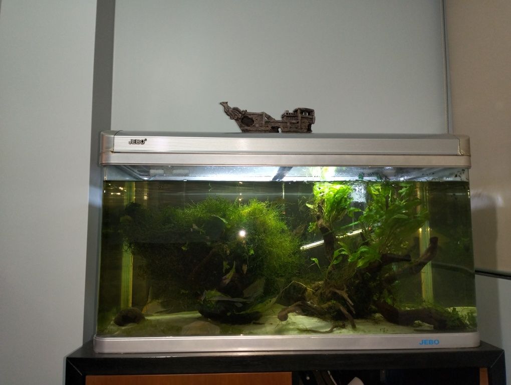 Aquário Jebo em bom estado