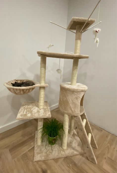 Drapak dla Kota Beżowy Stabilny Wytrzymały z Domkiem 5 Poziomów NOWY!