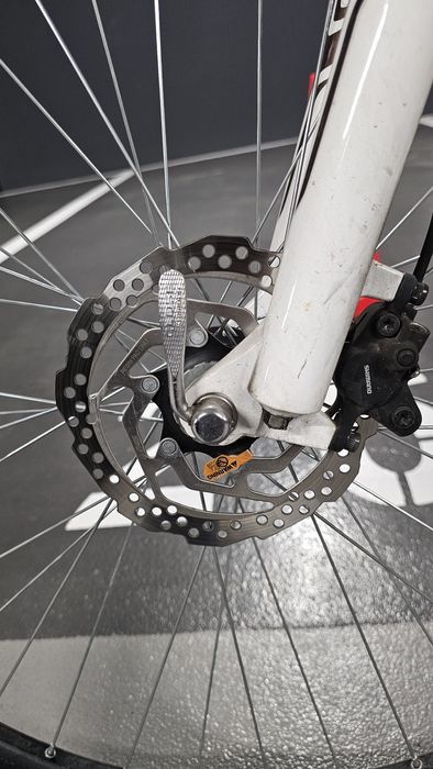 Rower MTB 29" ERIES rama 19"