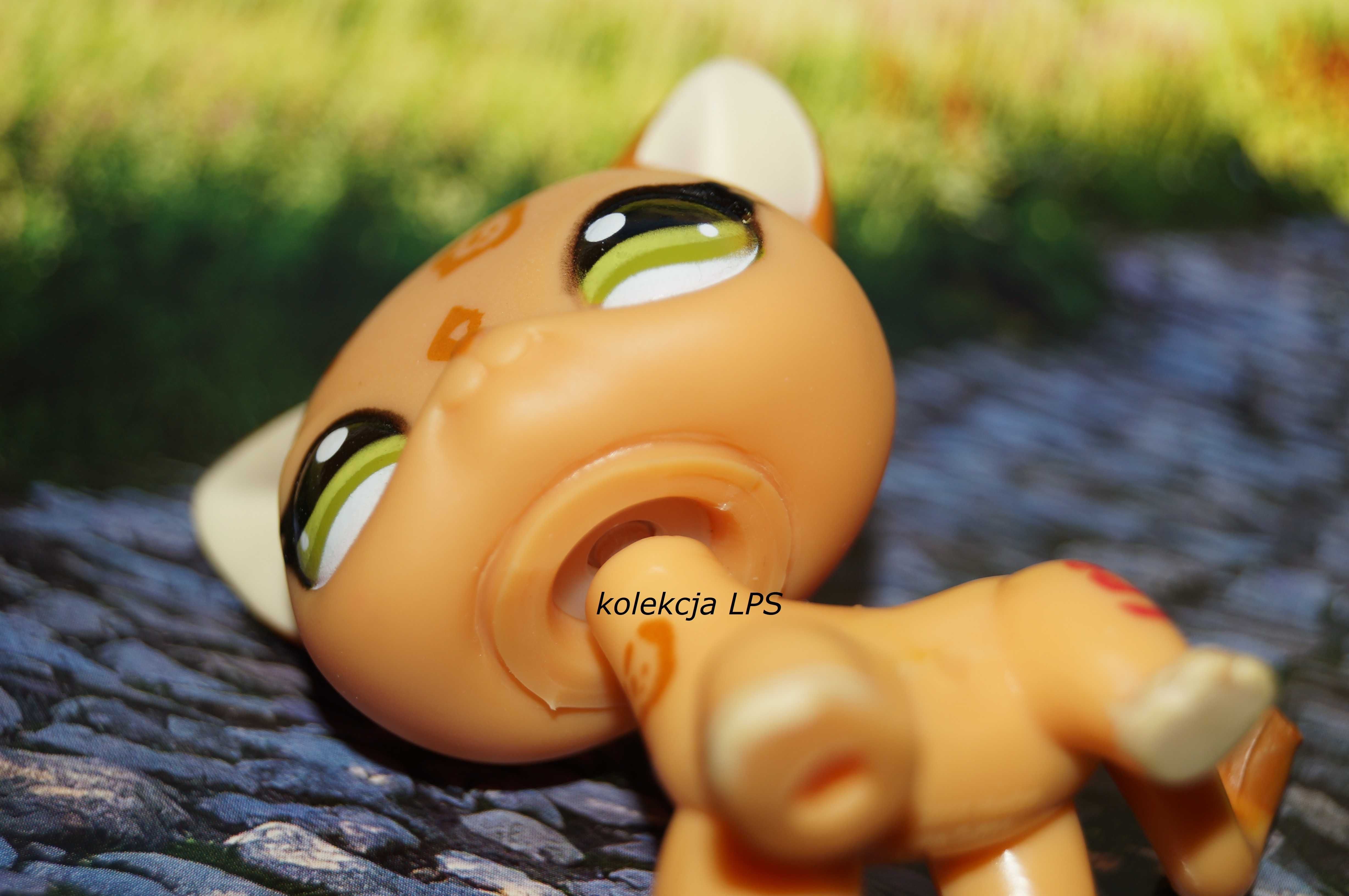 LPS Littlest Pet Shop shorthair #1120 oryginalny kotek oryginał POP