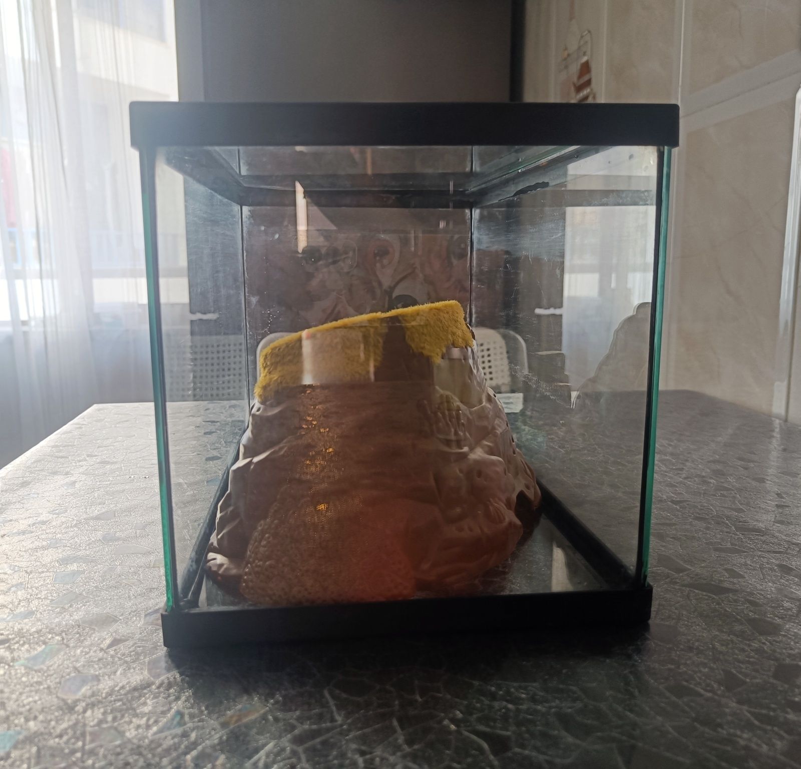 Aquário 10 litros com cobertura com casinhas para peixes 35×20×20