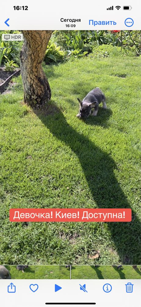 Девочка голубой тан с документами