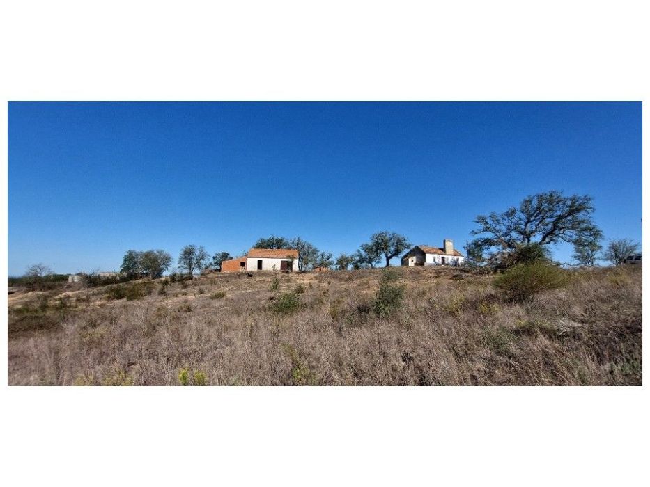 QUINTA, vista mar (5.575ha)
