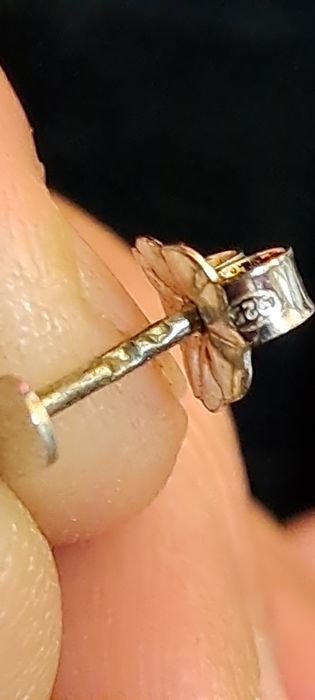 Brincos vistosos em prata contrastada.