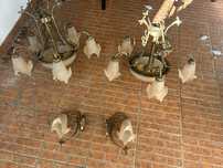 Conjunto candeiros de sala