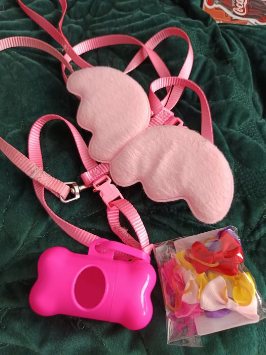 Zestaw dla małego psa/kota obroża skrzydełka kokardki