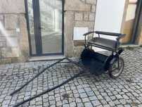 Charrete/Carroça para pónei com arreios
