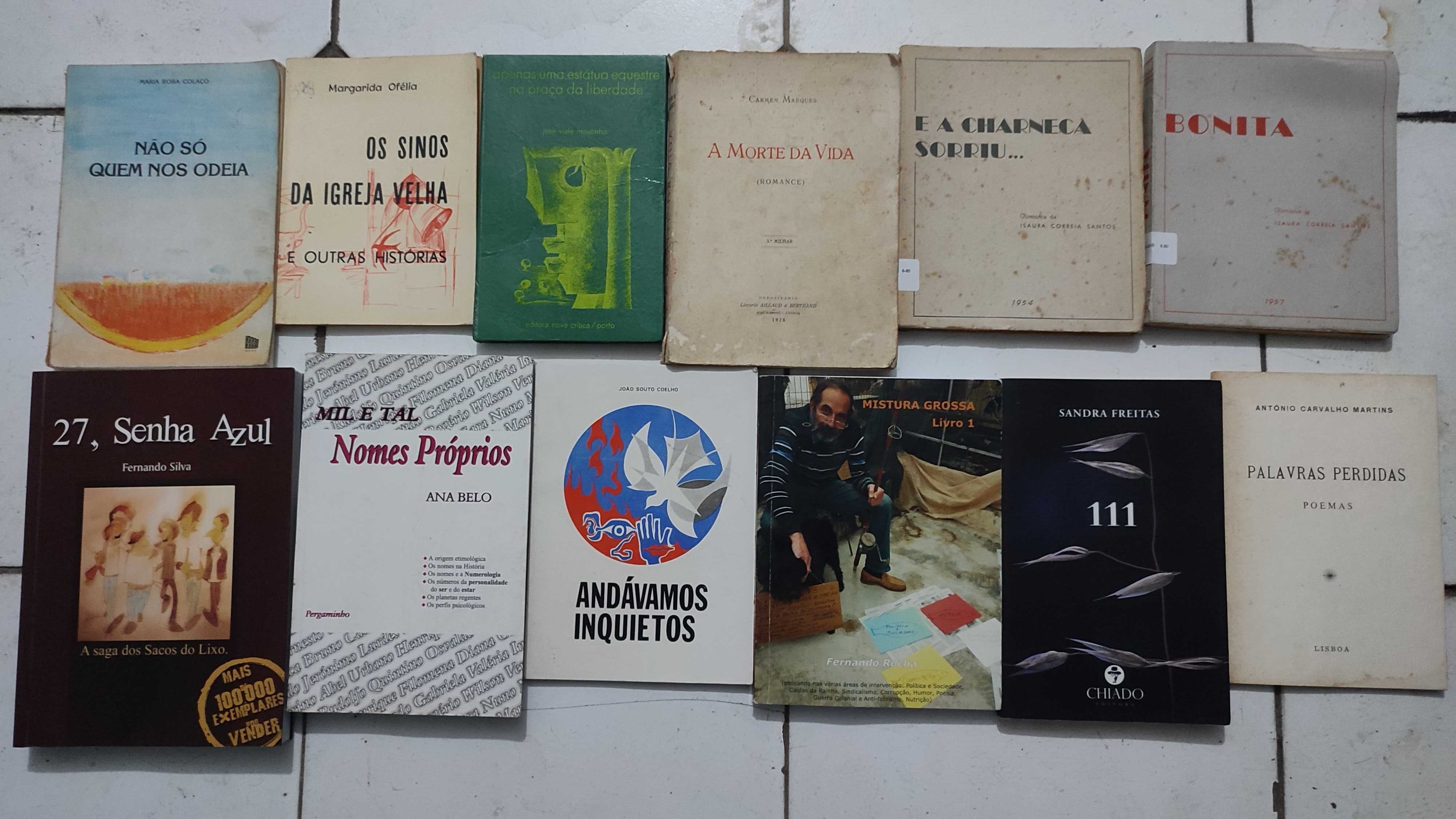 Lote 36 livros Autores Portugueses Poesia, crónicas, romance