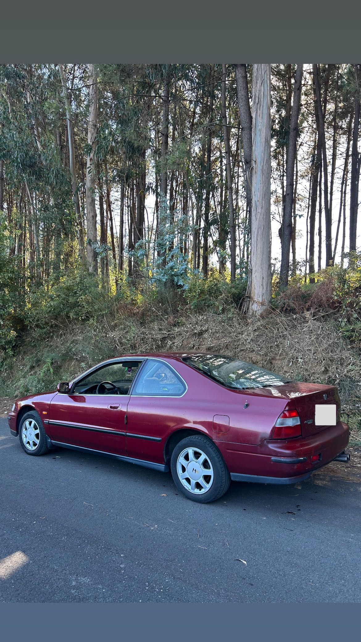 Honda accord coupe