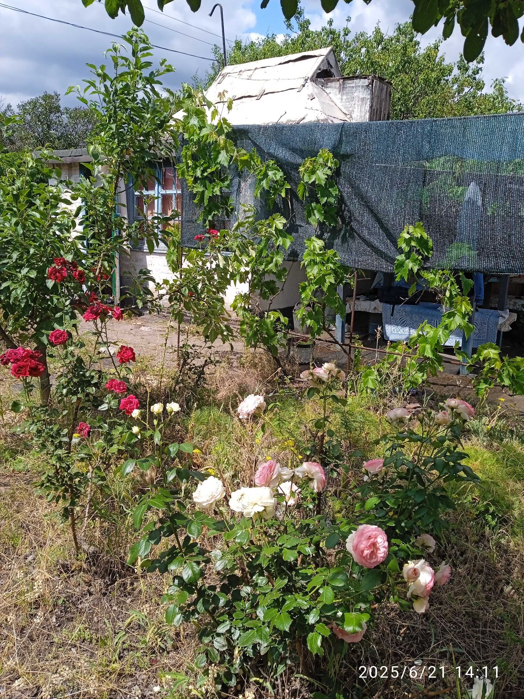 Продам дачу біля Ленінського ставка