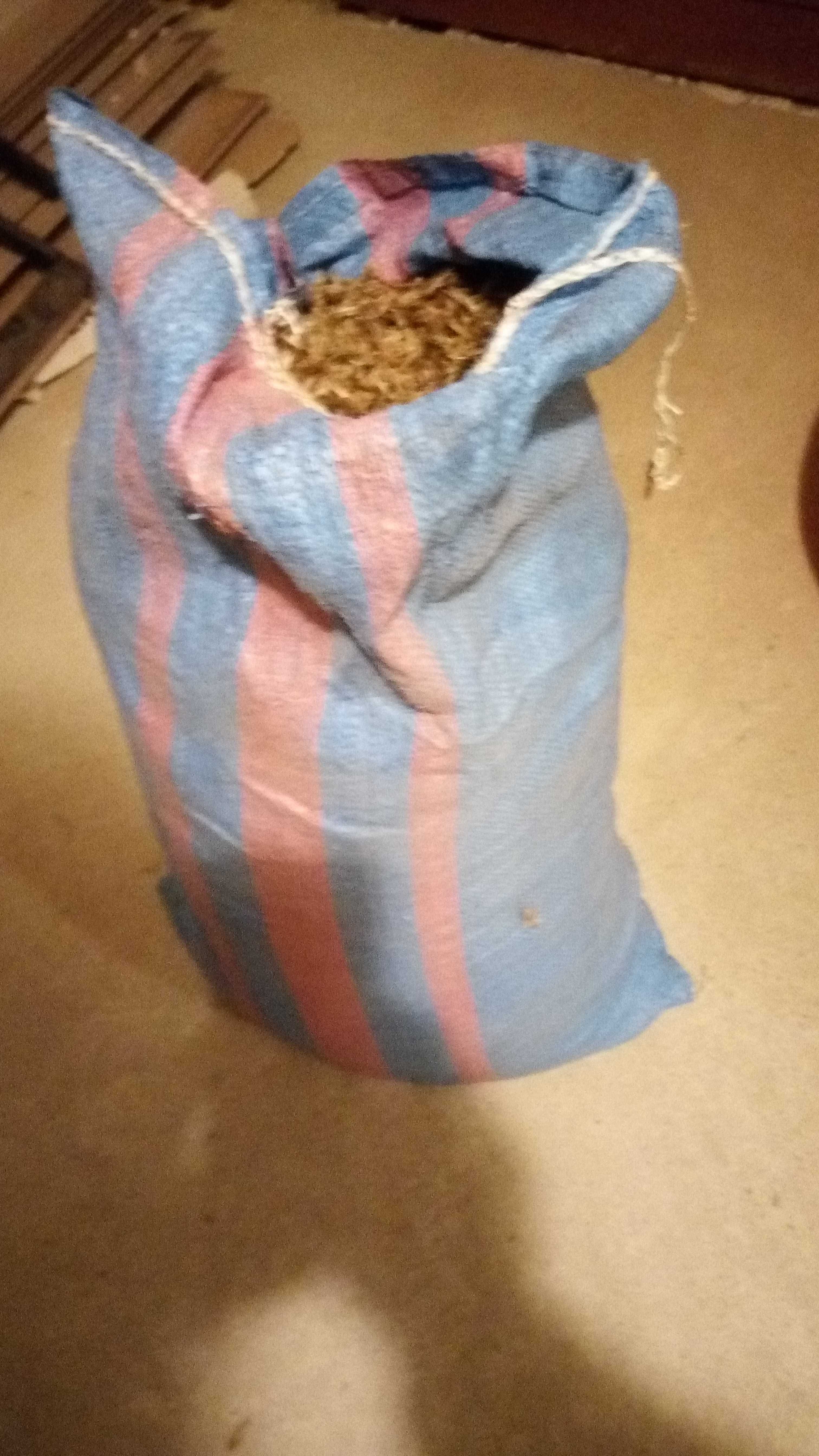 Przegorzan kulisty 1kg nasiona