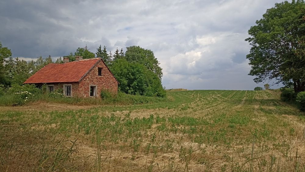 Duża działka z domkiem 0,95 ha, blisko jeziora z widokiem na las.
