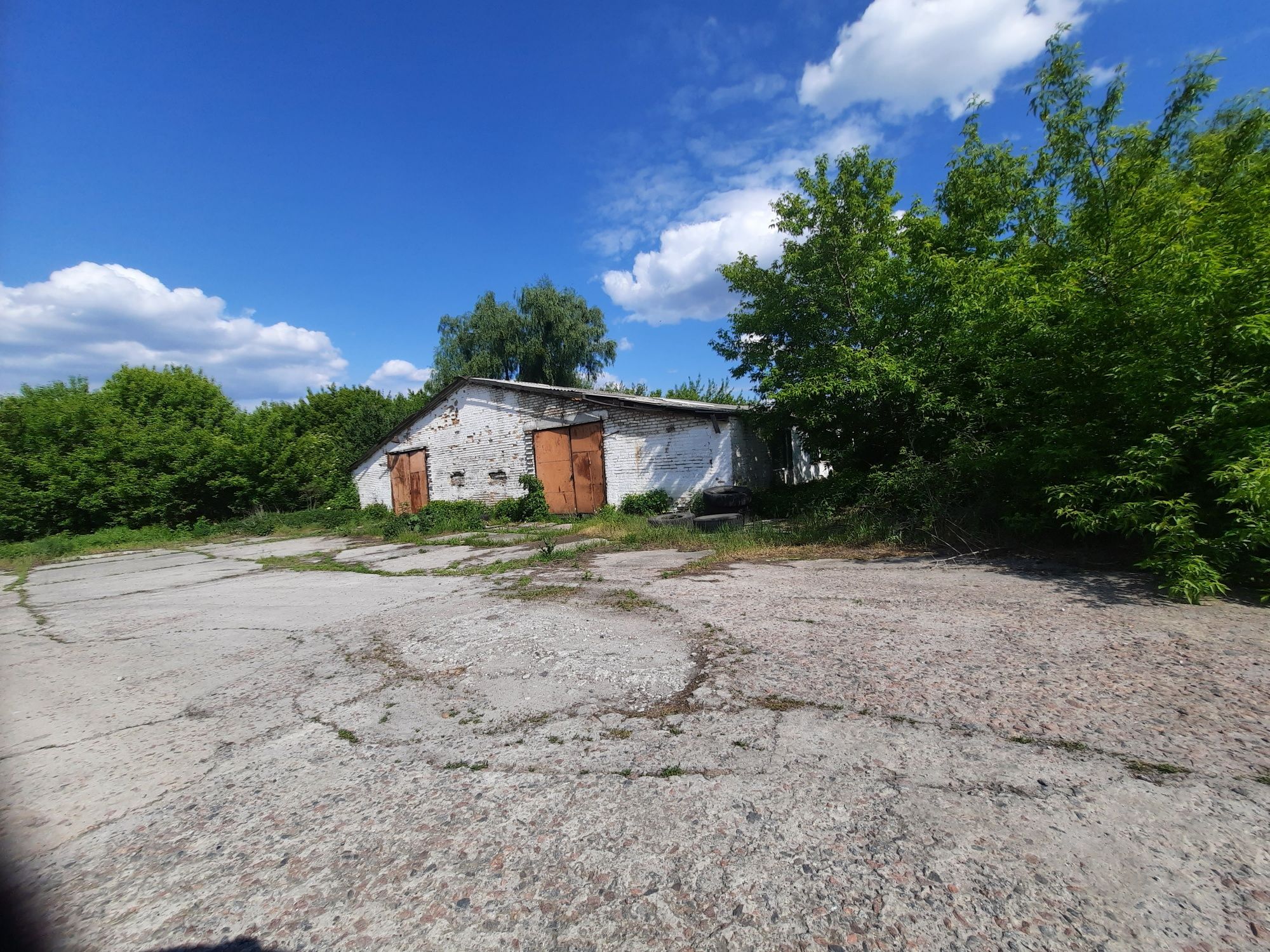 Продам участок земли в с.Дерев'яне Обуховского района.у