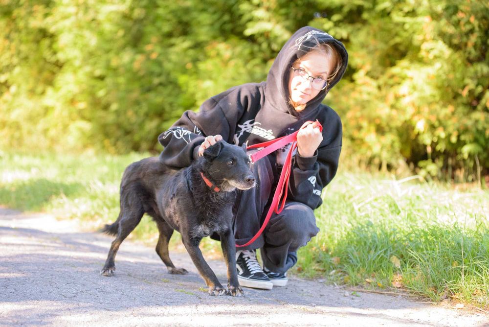 Badu: wierny, nakolankowy towarzysz