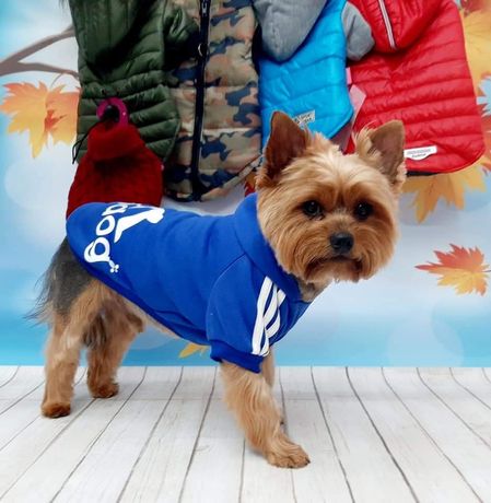 Bluzy ADIDOG L  XL  2XL 3XL 4XL  dla psa modne  kolory