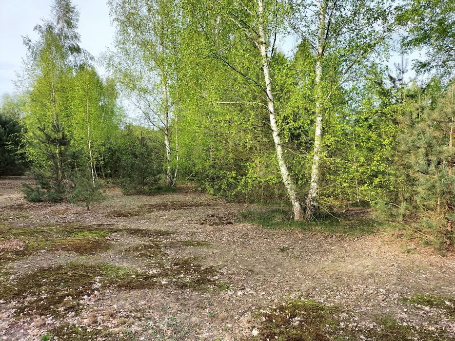 Działka z klimatem 2,70ha