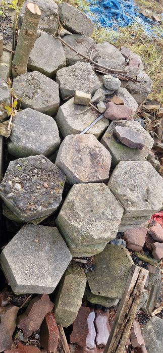 oddam za darmo trylinke ZGIERZ TRYLINKA