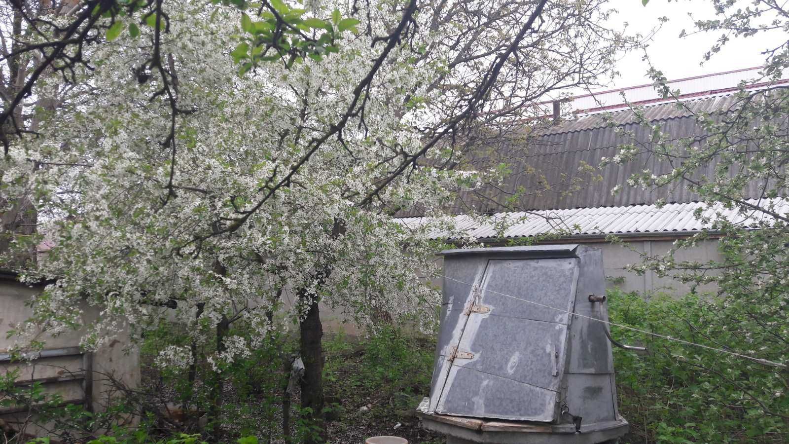 (7) Продам будинок в Літині 2590