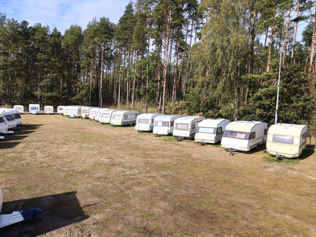 Przyczepa kempingowa kemping Niewiadów Duży Wybór Transport